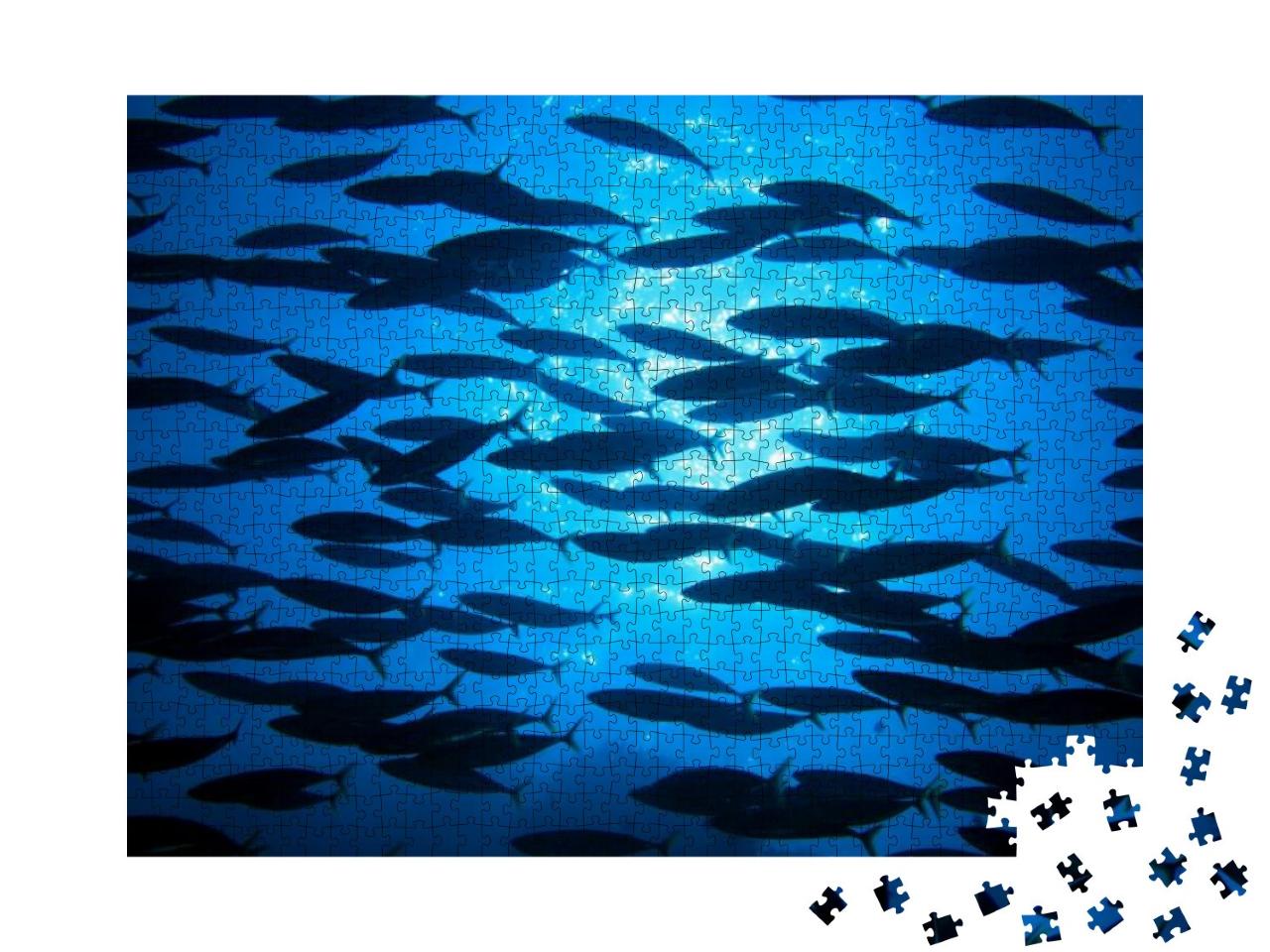 Puzzle 1000 Teile „Fischschwarm im blauen Wasser des Ozeans“