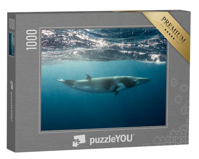 Puzzle 1000 Teile „Kleiner Wal am Great Barrier Reef  “