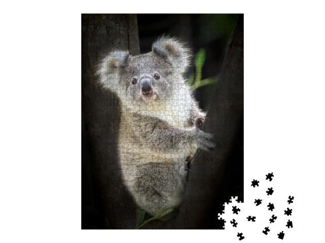 Puzzle 1000 Teile „Koala im Zoo“