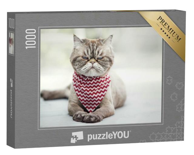 Puzzle 1000 Teile „Verärgerte Katze“