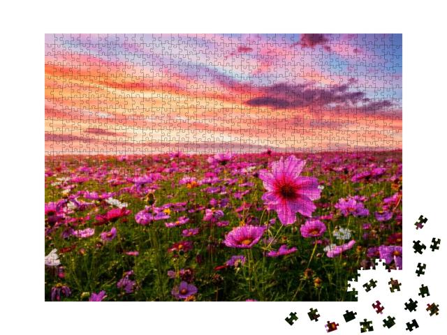 Puzzle 1000 Teile „Kosmeen blühen vor dem Sonnenuntergang “