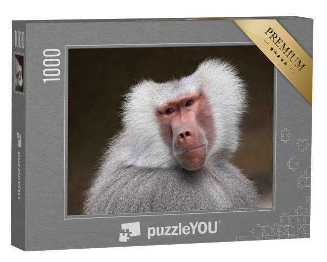 Puzzle 1000 Teile „Portrait eines nachdenklichen Pavians“