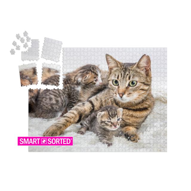 SMART SORTED® | Puzzle 1000 Teile „Katzenmutter und Katzenbaby, Kitten“