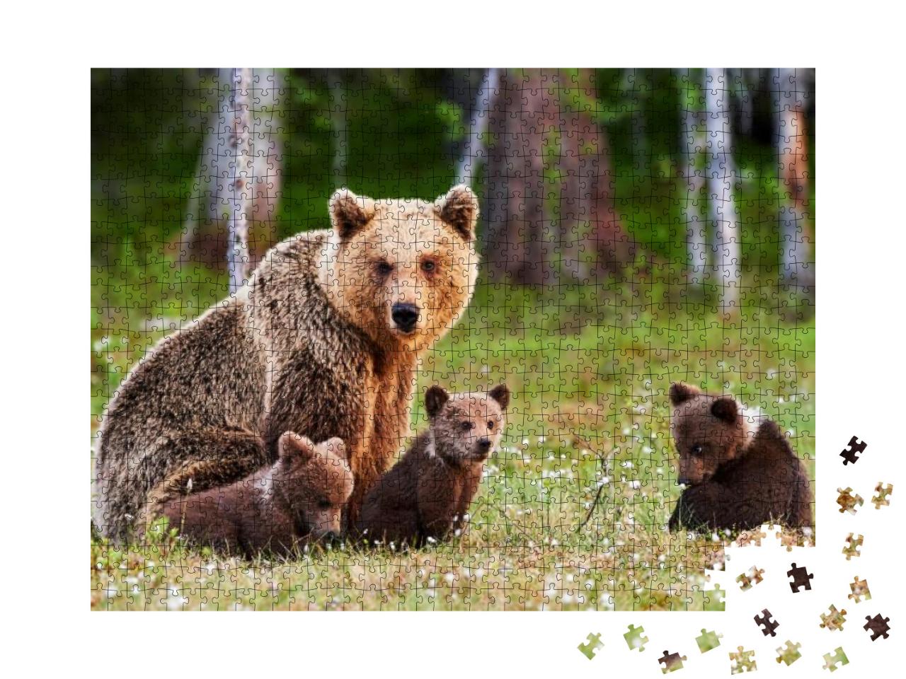 Puzzle 1000 Teile „Braunbärenmutter beschützt ihre Jungen in einem finnischen Wald“