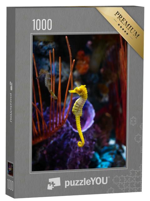 Puzzle 1000 Teile „Seepferdchen im Aquarium“