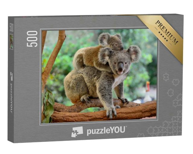 Puzzle 500 Teile „Koala-Mutter mit Baby auf dem Rücken auf einem Eukalyptusbaum“