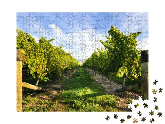 Puzzle 1000 Teile „Reihe von Weinbergen bei schönem Wetter “