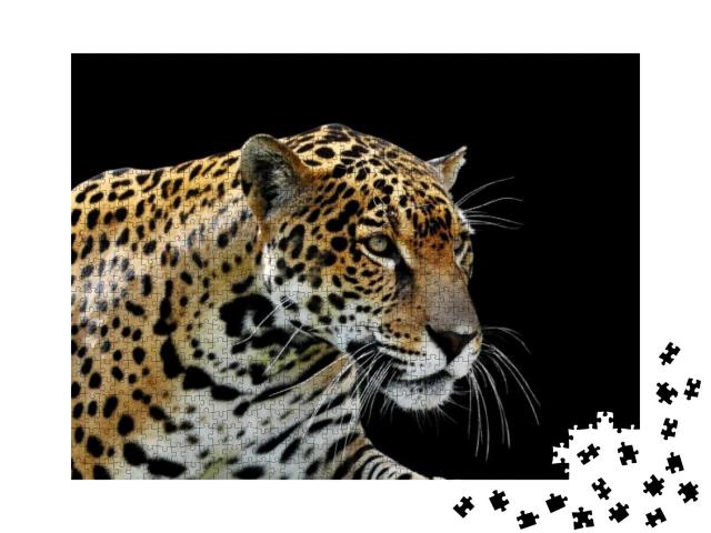 Puzzle 1000 Teile „Schöner Leopard “