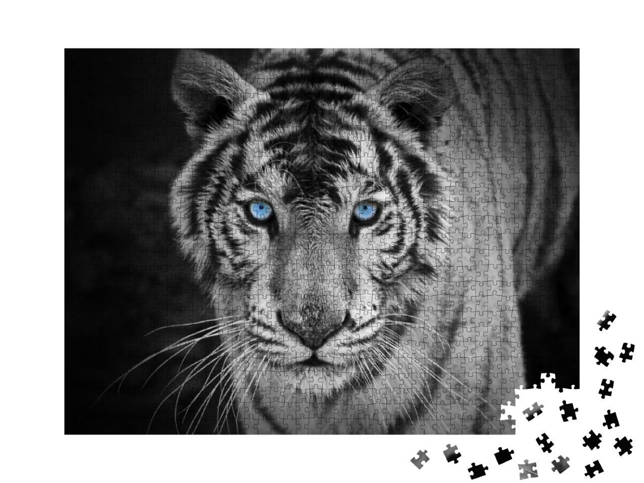 Puzzle 1000 Teile „Portrait eines weißen Tigers mit stechend blauen Augen“