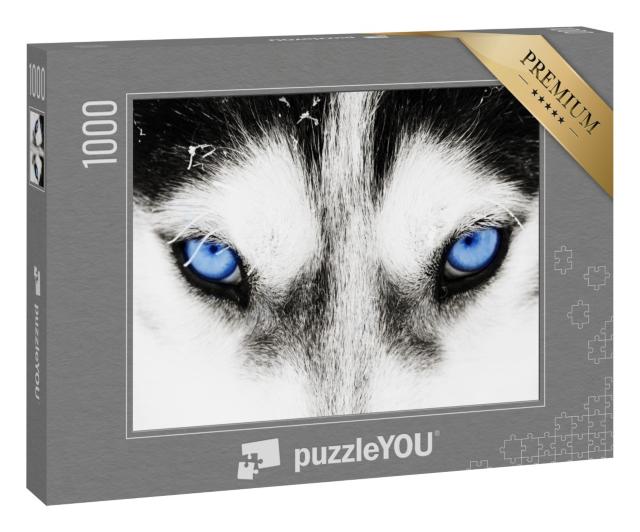 Puzzle 1000 Teile „Nahaufnahme: Die blauen Augen eines Husky-Hundes“