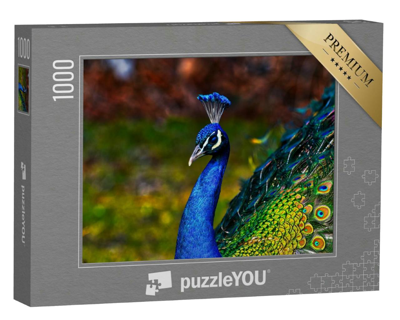 Puzzle 1000 Teile „Exemplar des männlichen Pfaus in metallischen Farben“