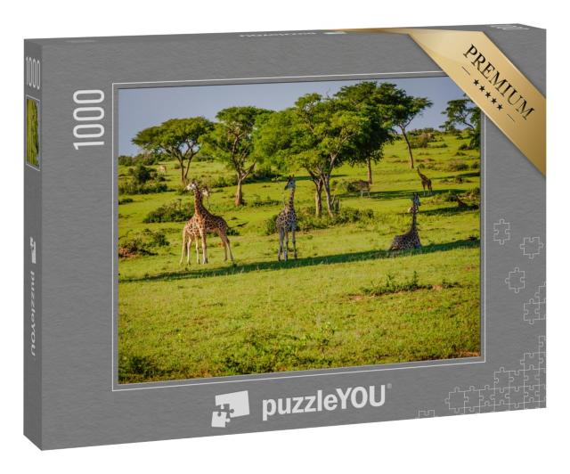 Puzzle 1000 Teile „Natur und Tierwelt im Murchison Falls Park, Uganda, Afrika“
