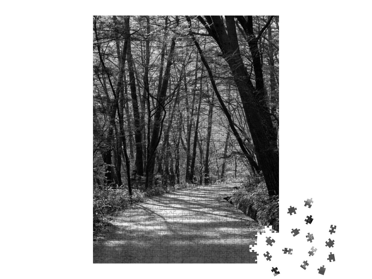 Puzzle 1000 Teile „Wunderschöner Weg im Wald “