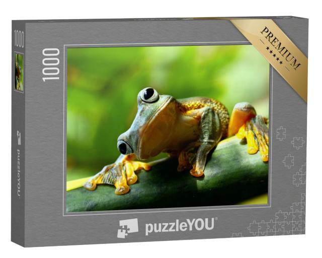 Puzzle 1000 Teile „Neugieriger Frosch“