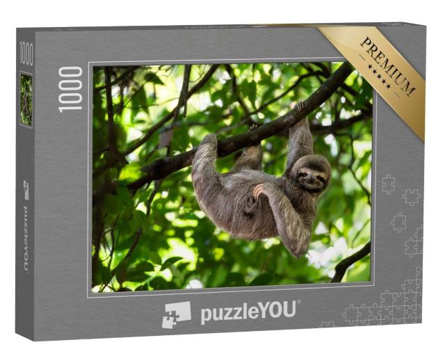 Puzzle 1000 Teile „Niedliches Faultier in perfekter Pose am Baum“