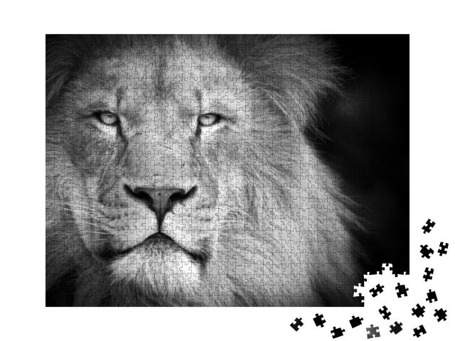 Puzzle 1000 Teile „Porträt eines Löwen “