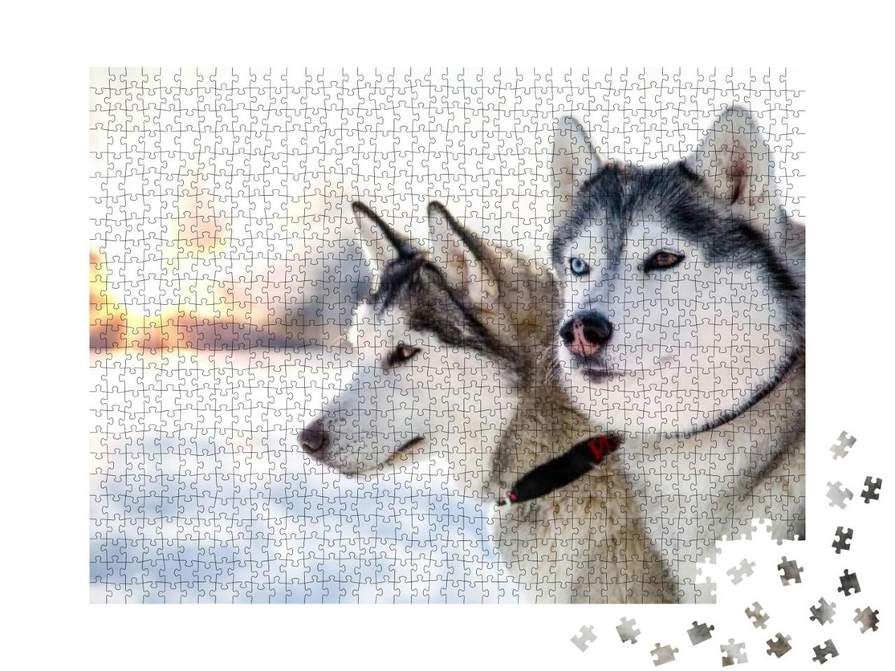 Puzzle 1000 Teile „Zwei Sibirische Huskys im winterlichen Sonnenuntergang“