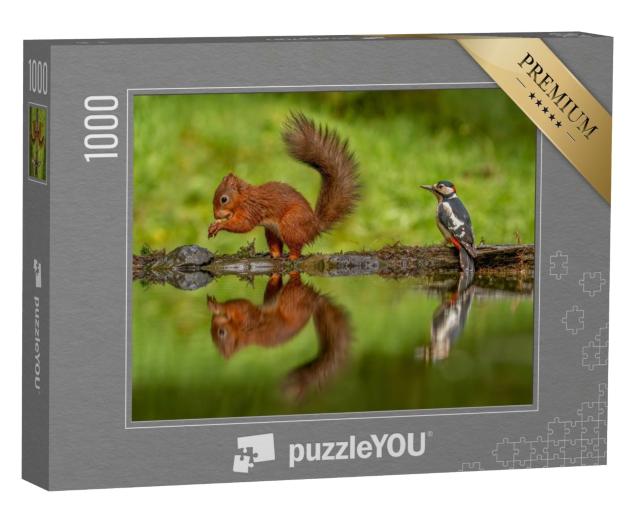 Puzzle 1000 Teile „Rotes Eichhörnchen und ein Buntspecht“