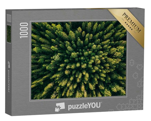 Puzzle 1000 Teile „Vogelperspektive auf einen Nadelwald“