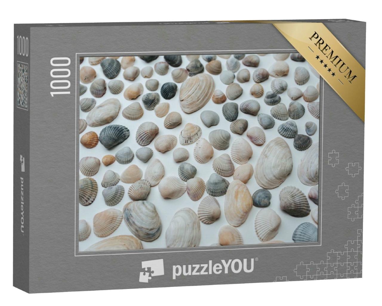 Puzzle 1000 Teile „Viele schöne Muscheln“