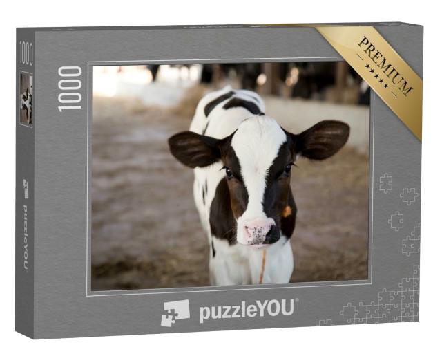 Puzzle 1000 Teile „Neugieriges kleines Kälbchen“