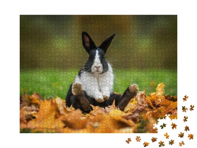 Puzzle 1000 Teile „Kleines lustiges Kaninchen sitzt im Herbstlaub“