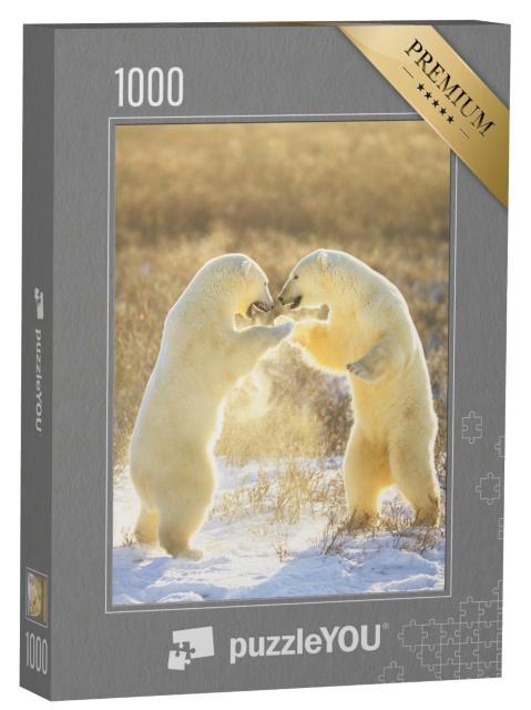 Puzzle 1000 Teile „Eisbären aus Kanada “