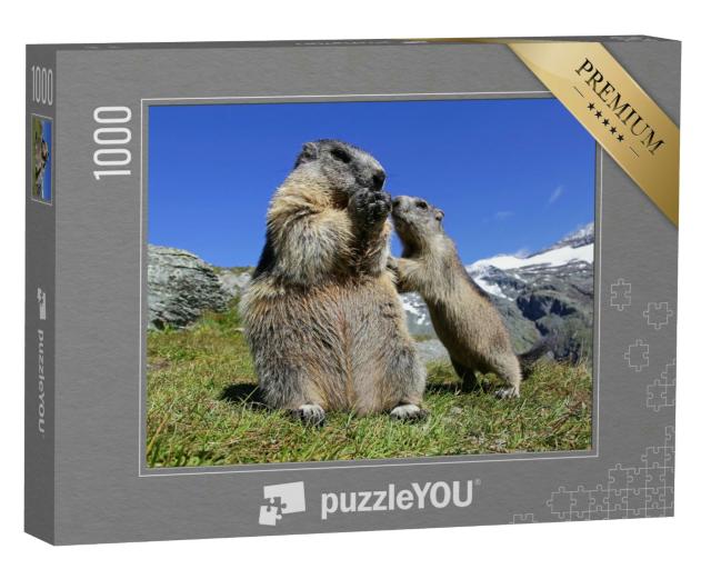 Puzzle 1000 Teile „Murmeltiermutter mit ihrem neugierigen Jungtier, Österreich“