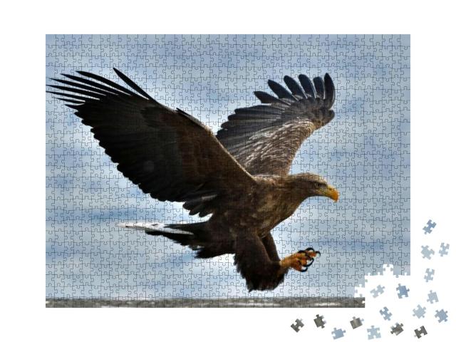 Puzzle 1000 Teile „Seeadler fliegt vor blauem Himmel“
