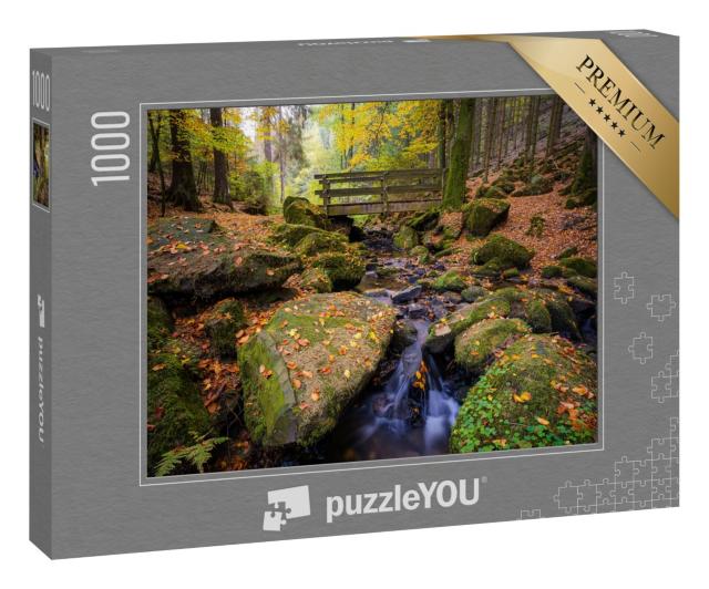 Puzzle 1000 Teile „Silberbachtal: der Teutoburger Wald im Herbst, Horn-Bad Meinberg, Detmold“
