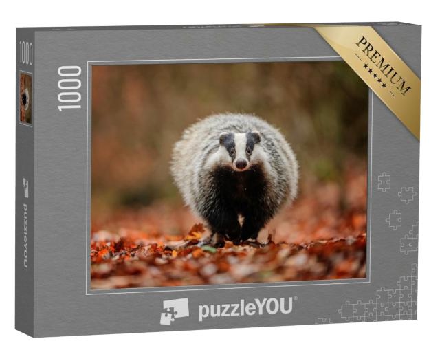 Puzzle 1000 Teile „Dachs im Wald“