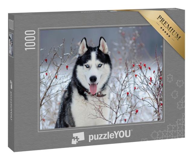 Puzzle 1000 Teile „Sibirischer Husky mit blauen Augen im Winter“