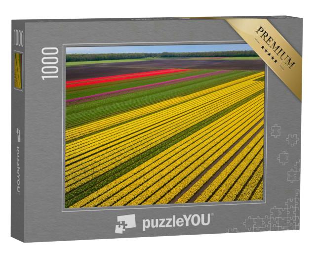 Puzzle 1000 Teile „Unendliche Tulpenfelder, Niederlande“