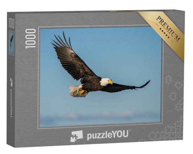 Puzzle 1000 Teile „Weißkopfseeadler, der gegen den klaren blauen Himmel Alaskas aufsteigt“