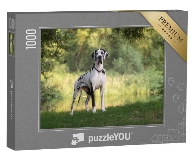 Puzzle 1000 Teile „Schöne Landschaft mit Deutscher Dogge“