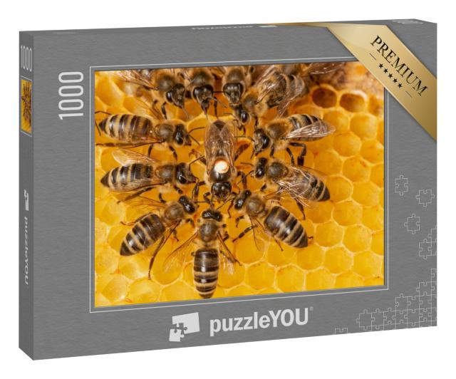 Puzzle 1000 Teile „Bienenkönigin umgeben von Arbeiterinnen“