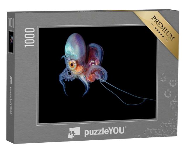 Puzzle 1000 Teile „Unterwasserfoto einer Löcherkrake“