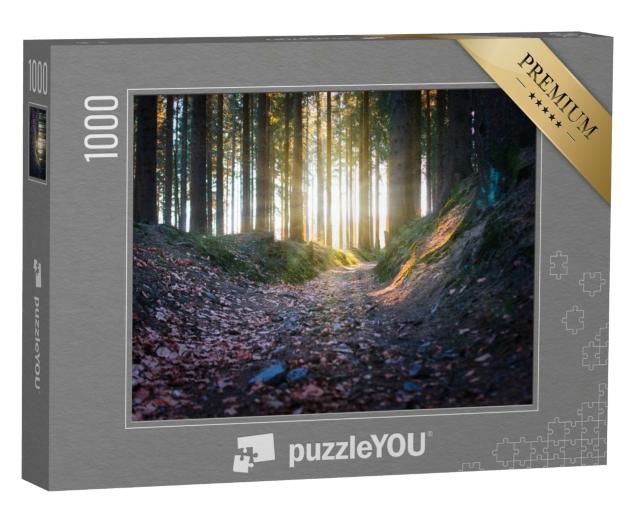 Puzzle 1000 Teile „Sonnenstrahlen im Wald, Rennsteig“