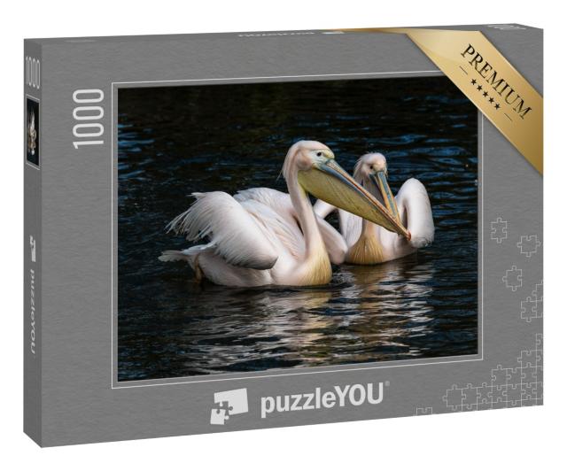 Puzzle 1000 Teile „Der Weiße Pelikan, auch bekannt als Rosapelikan“