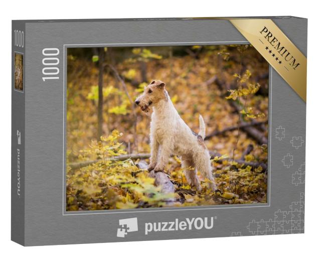 Puzzle 1000 Teile „Drahthaar-Foxterrier Herbst“