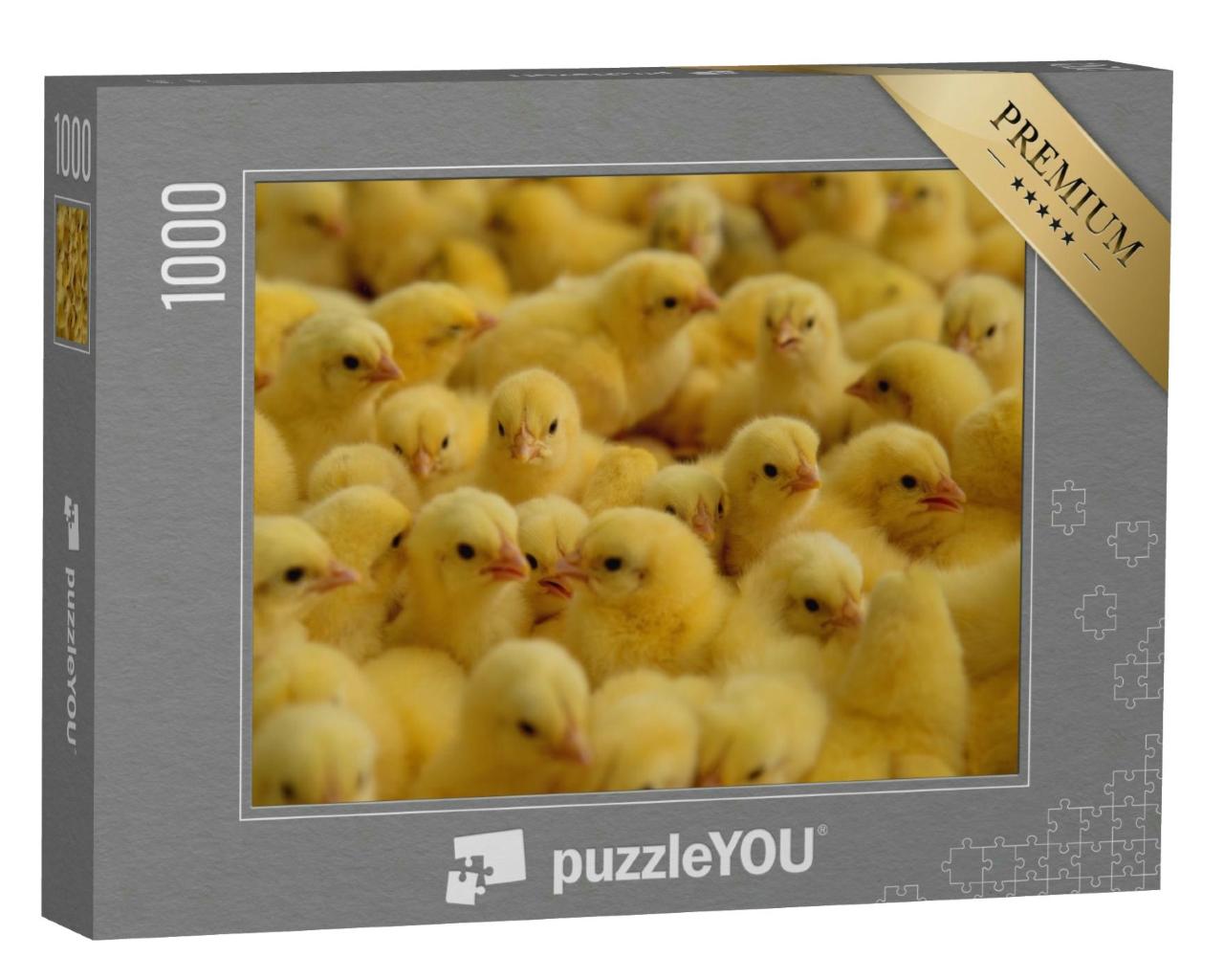 Puzzle 1000 Teile „Hühner auf einem Bauernhof“