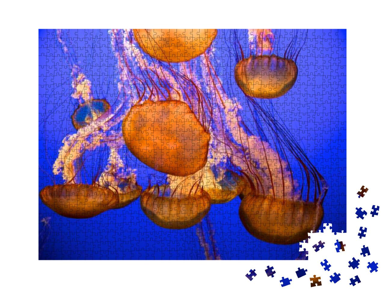 Puzzle 1000 Teile „Quallen vor einem blauen Meereshintergrund“