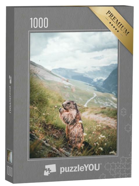 Puzzle 1000 Teile „Alpenmurmeltier auf einem Berghang in Österreich“
