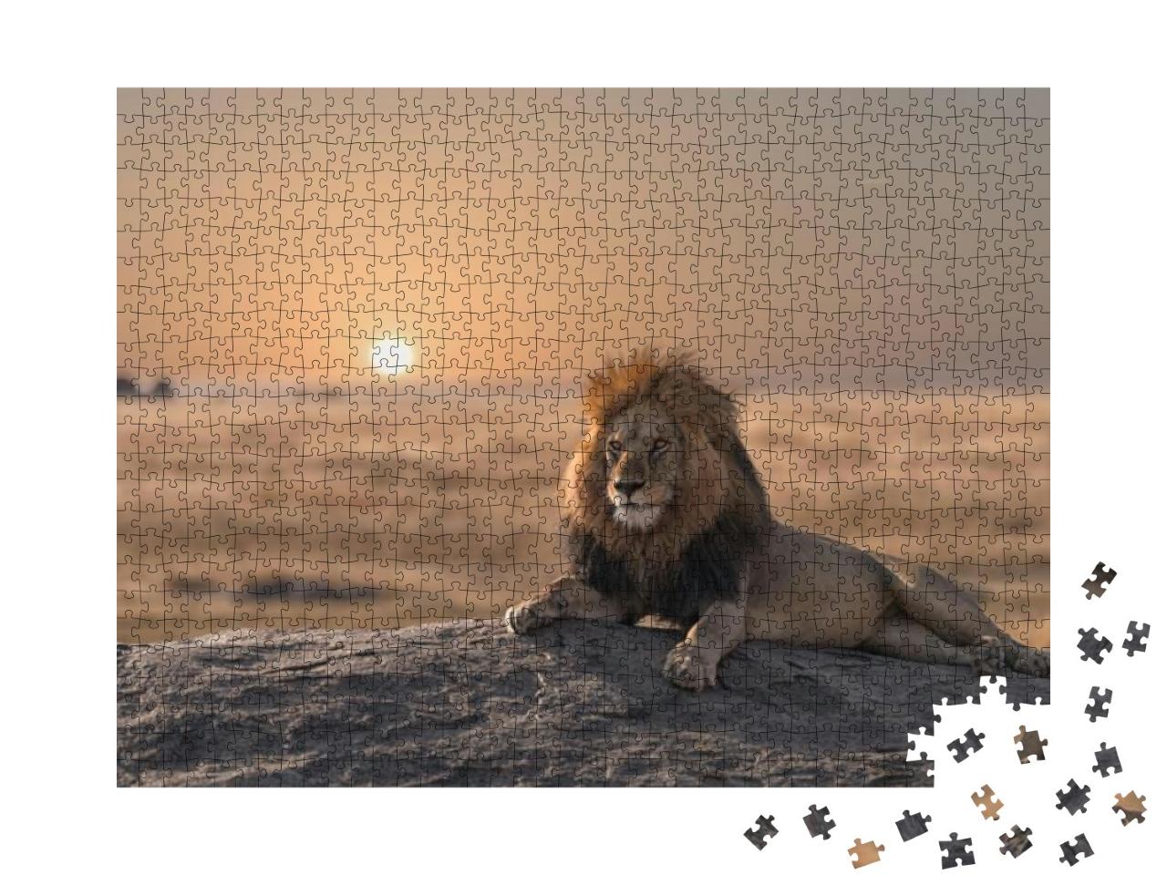 Puzzle 1000 Teile „Majestätischer Löwe im Sonnenuntergang“