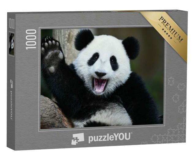 Puzzle 1000 Teile „Ein verspielter Panda“