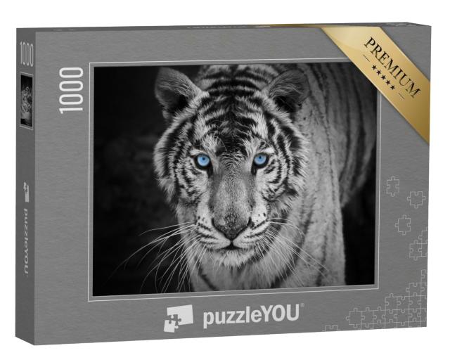 Puzzle 1000 Teile „Portrait eines weißen Tigers mit stechend blauen Augen“