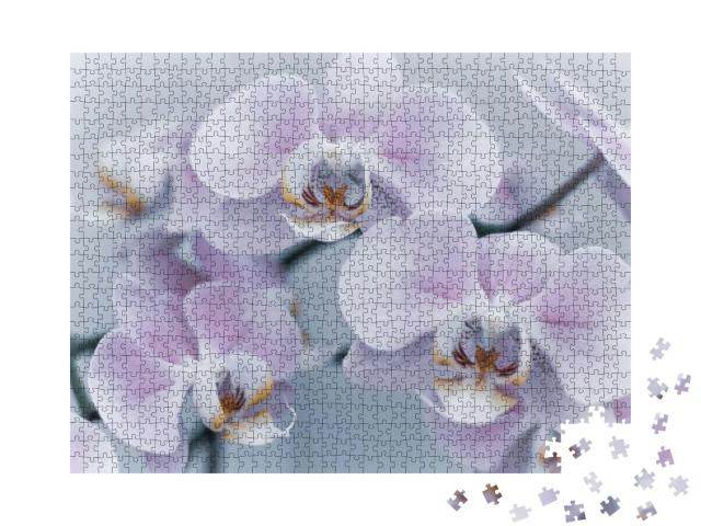 Puzzle 1000 Teile „Schöne zarte Orchidee “