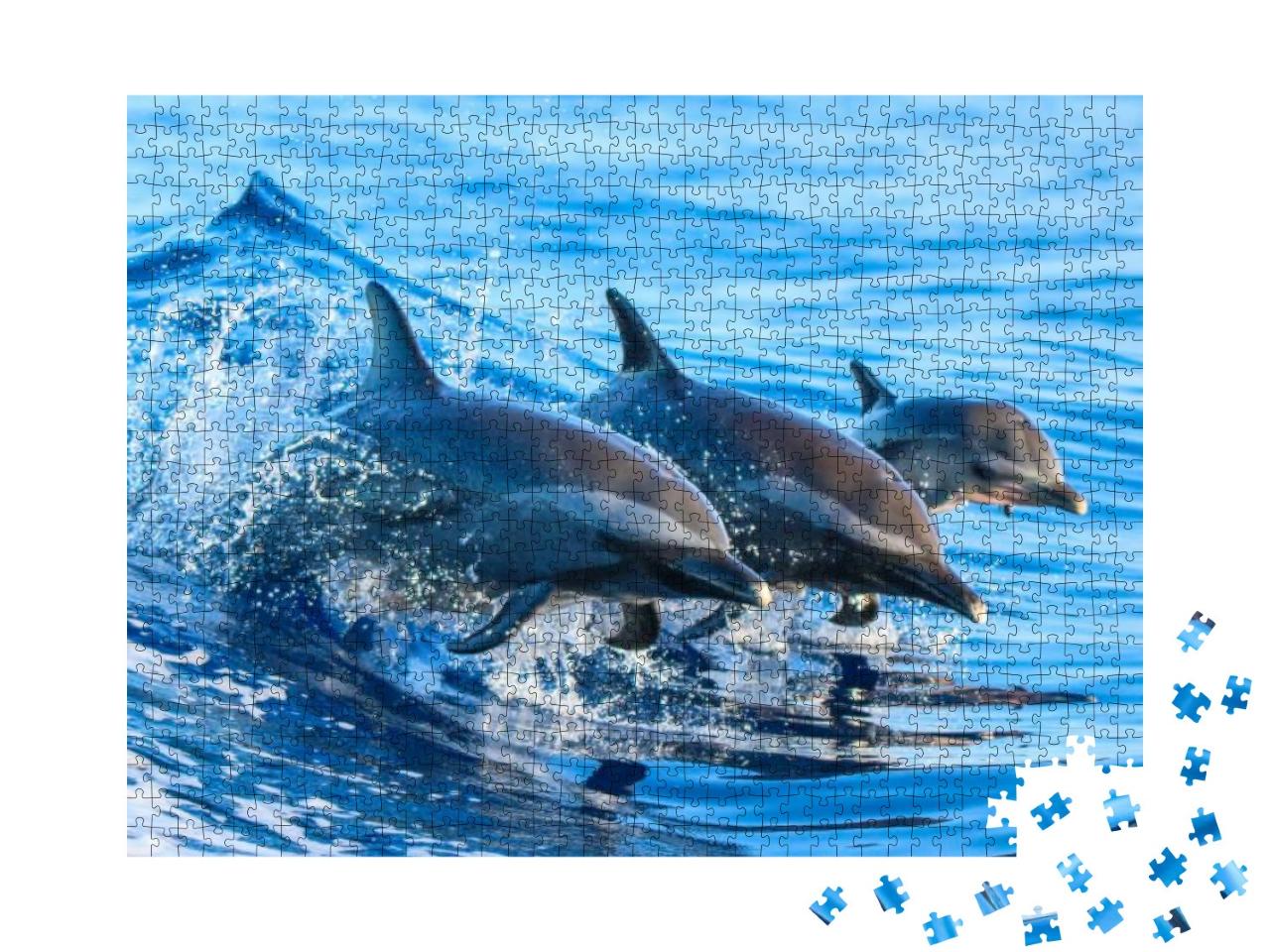 Puzzle 1000 Teile „Familie von Fleckendelfinen springt aus dem klaren Wasser vor Hawaii“