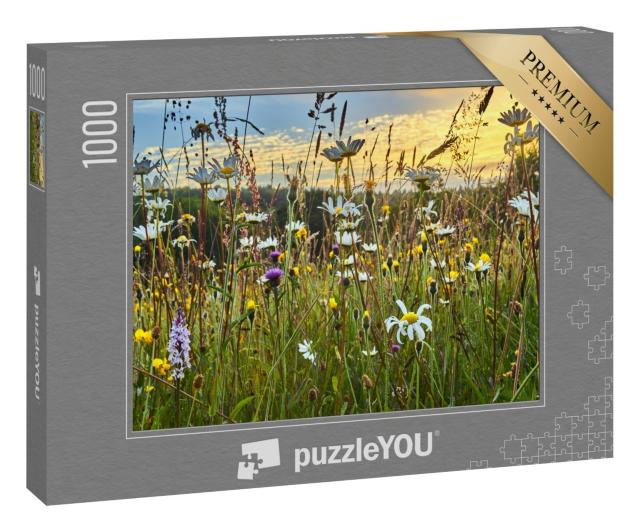 Puzzle 1000 Teile „Eine Wildblumenheuwiese im Sommer“