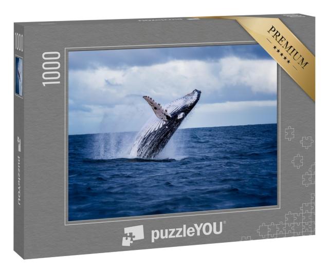 Puzzle 1000 Teile „Buckelwal springt aus dem Wasser, Australien“